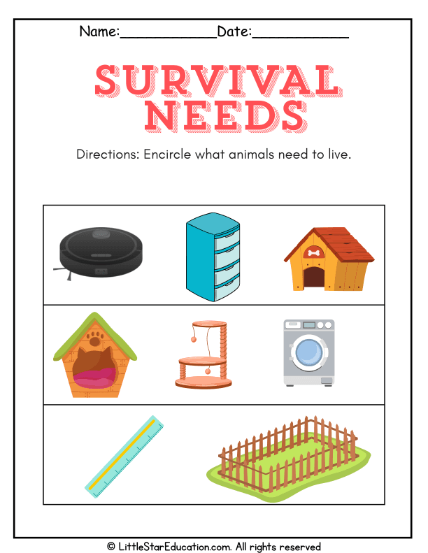 What Animals Need to Survive Science Worksheet for Pre-K & Kindergarten