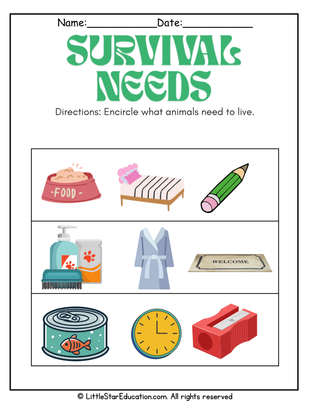 What Do Animals Need to Survive? Science for Pre-K & Kindergarten